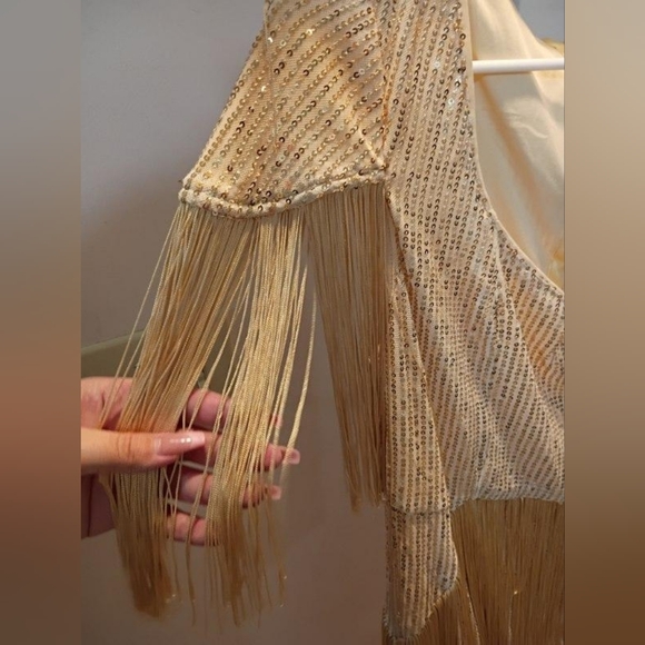 Gold Fringe Sequin Evening Dress - Pluswear - Picture 6 of 9